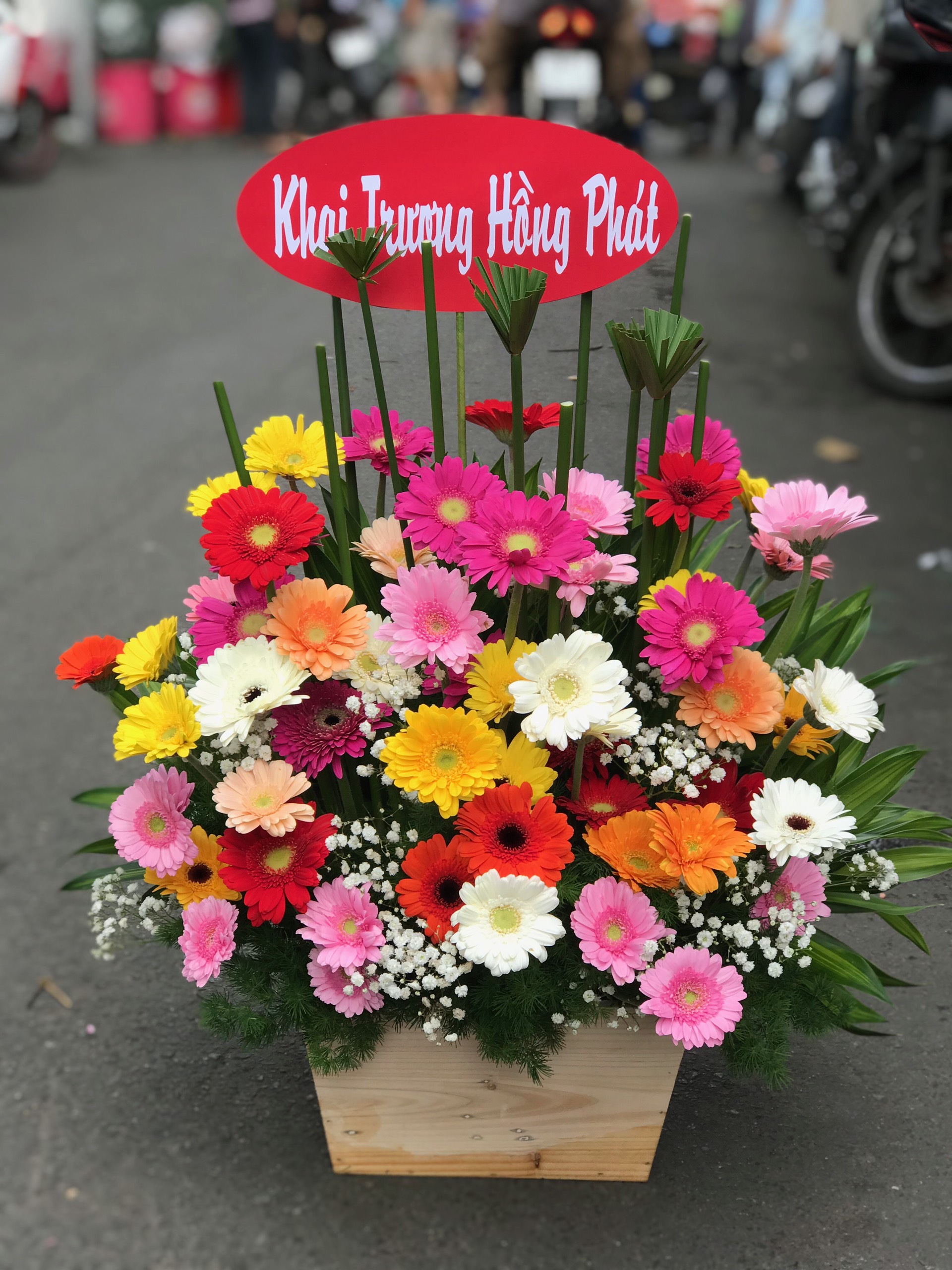 Hoa khai trương